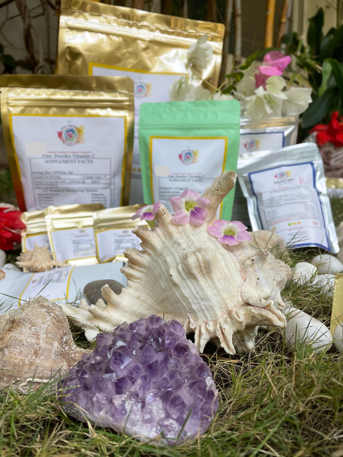 500g Fine Powder Vitamin C (2.5g scoop included)